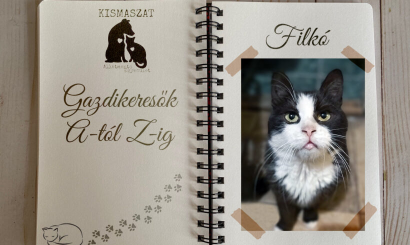 Filkó