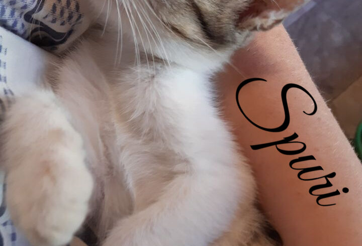 Spuri