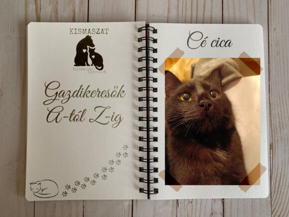 Cé-cica
