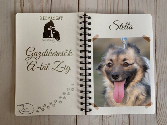 Stella