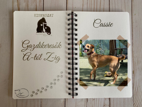 Cassy