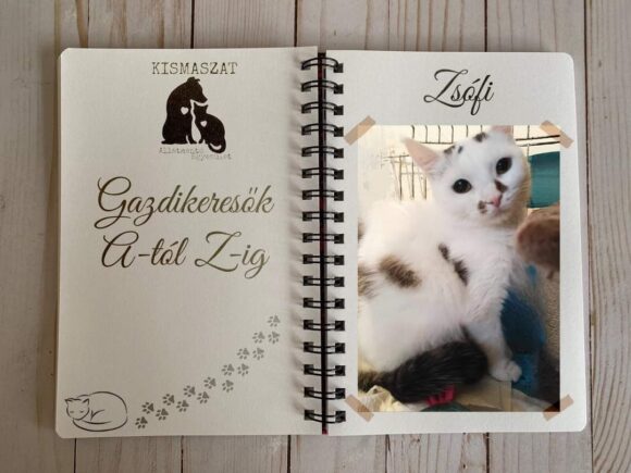 Zsófi