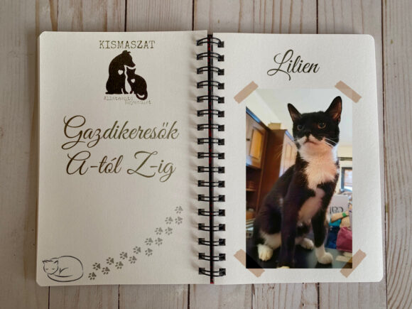 Lilien