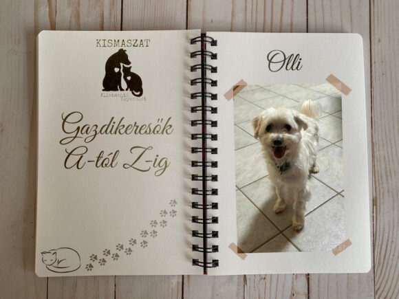 Olli