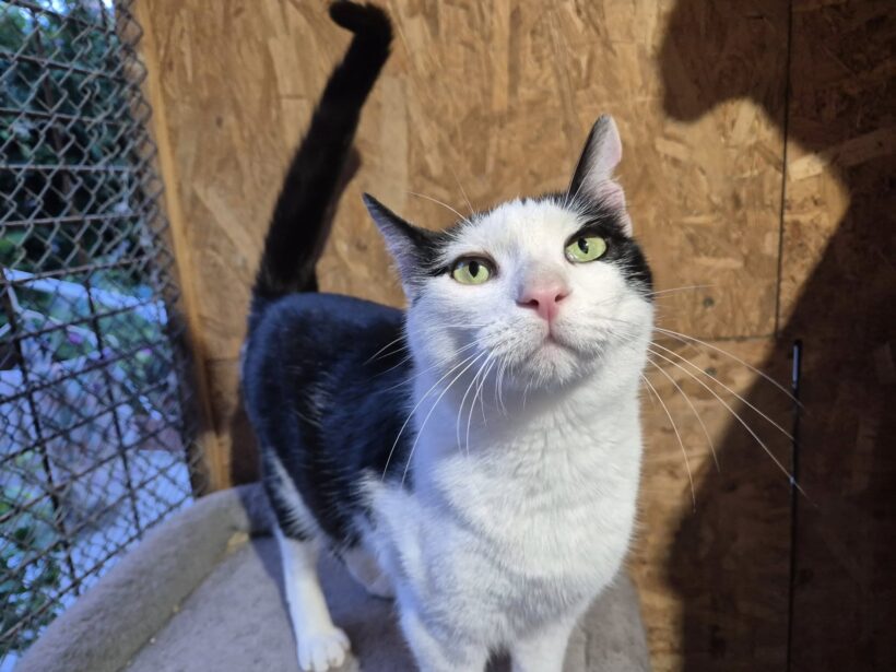 Ráday Roland Ráday Roland