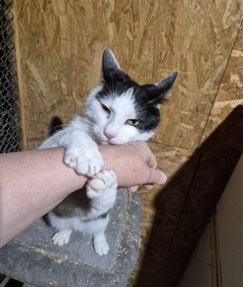 Ráday Roland Ráday Roland